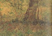 Vincent Van Gogh, Undergrowth (nn04)